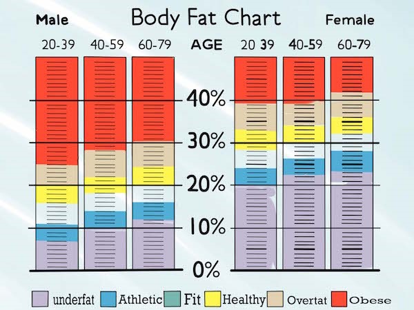male body fat calculator