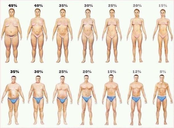 Finding Your Ideal Body Fat Percentage (Examples Included) 